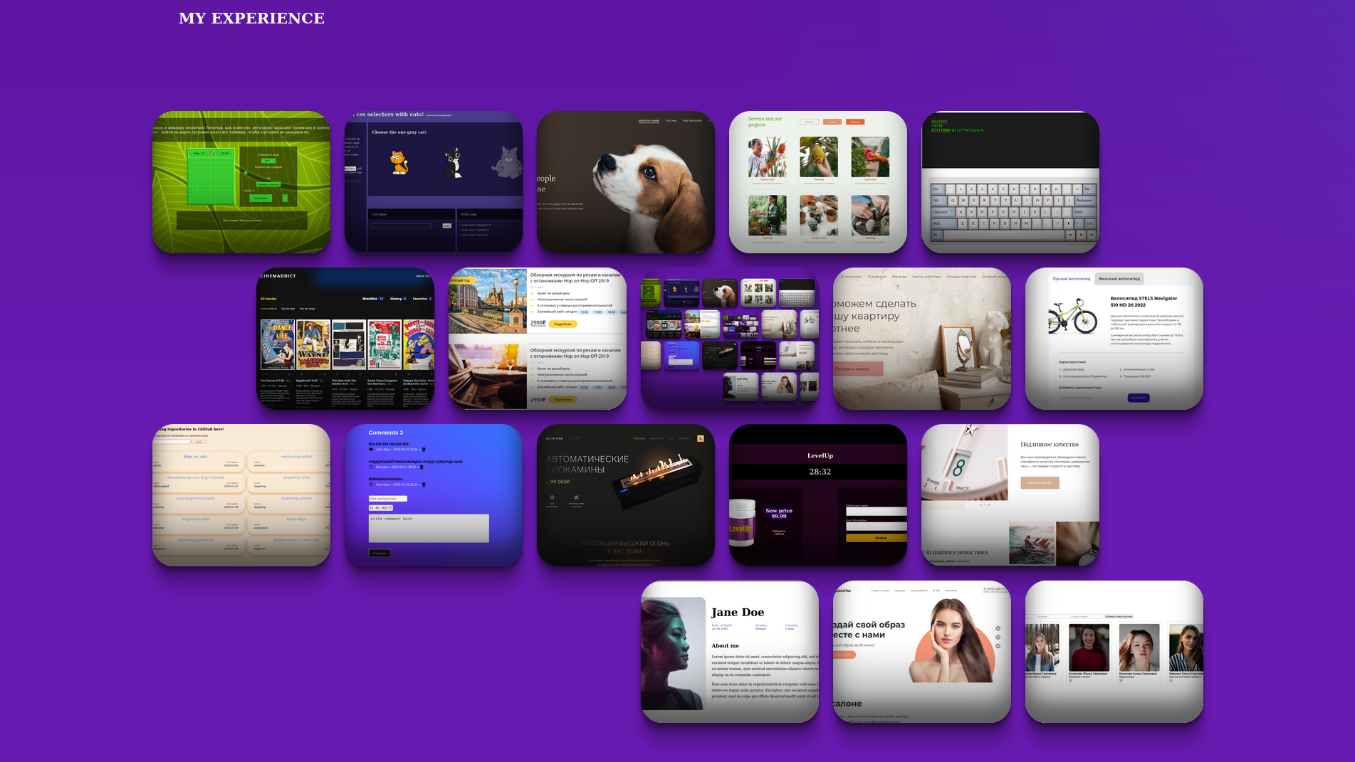 my portfolio