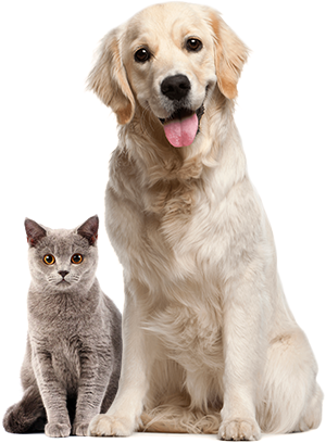 ours pets
